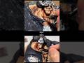 一年でこんなに変わった。くま製作の比較/Kuma Creation Comparison. How Much Changed in One Year【ONE PIECE ワンピース】 #shorts