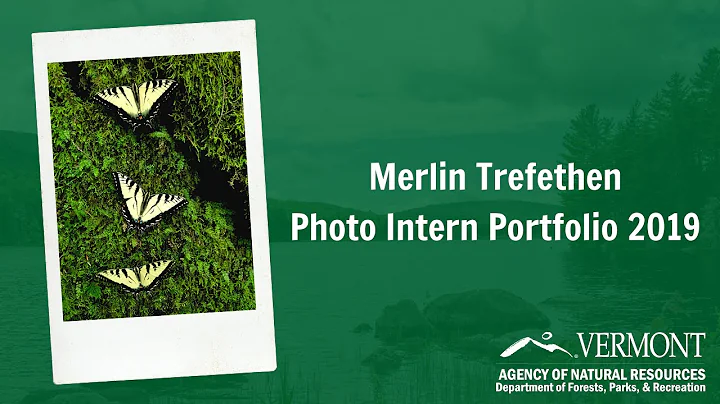 VT State Parks Photography 2019 - Merlin Trefethen