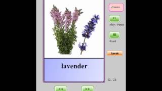Online Audio Flashcards for Kids - Flowers I (Easy)