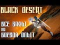 Black Desert - Все бафы на БОЕВОЙ опыт для быстрой прокачки