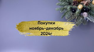 :  - 2024.