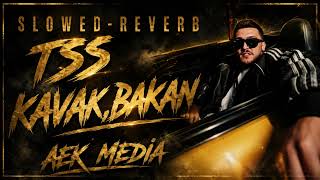 Kavak,Bakan - Tss (Aek Medi̇a Slowed+Reverb)