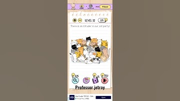 Brain Test level no.22 There is an intruder in our cat party!