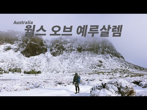 한라산 남벽이 호주 타즈매니아에!? | 호주 백패킹 여행 | 월스 오브 예루살렘