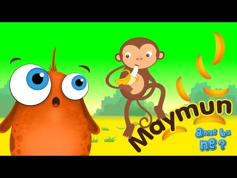 Maymunlar Neden Muz Yemeyi Sever? | Okul Öncesi Eğitici Animasyon | Anne Bu Ne?