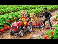 Monkey Farmer Shows UNBELIEVABLE Bravery to Save Tiny Lion Cub from Evil Thief!