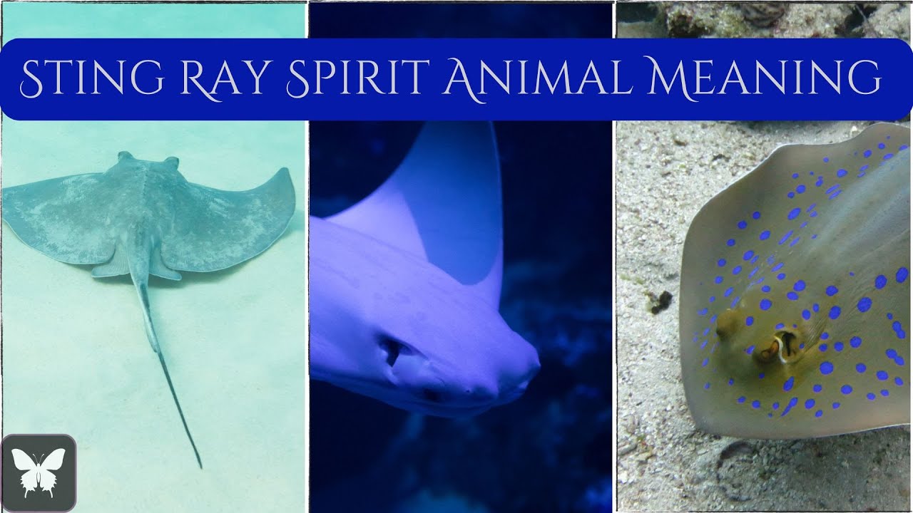 Stingray Spirit Animal Meaning