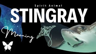 Stingray Spirit Animal | Stingray Spirit Guide | Stingray Symbolism | Stingray Totem