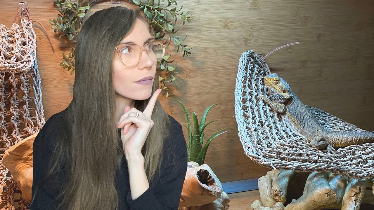 what I *really* think of Zen Habitats .. my Bearded Dragon enclosure