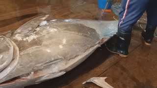 Fluency Cutting Skills of 478kg Giant Bluefin Tuna