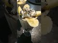 عصير سبيسيال