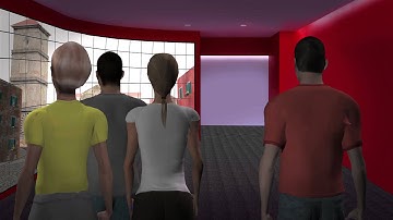 Large Scale Visualization: Video Display Walls in the James B. Hunt Jr. Library