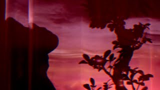 Vignette de la vidéo "Sam Ezeh - Bonsai Love (Official Video)"