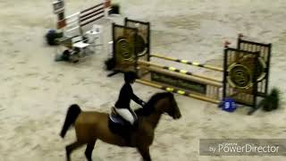 Download Lagu high girl  / elvis ter putte / mare MP3