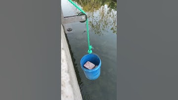 Rope + Pulley = Easy Lifting Every Time! #diyprojects