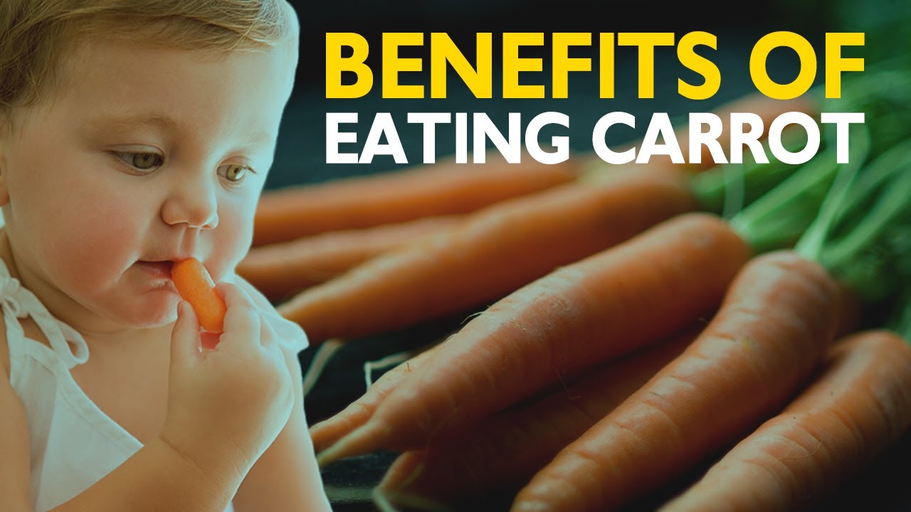 5 Amazing Health Benefits Of Eating Carrot YouTube