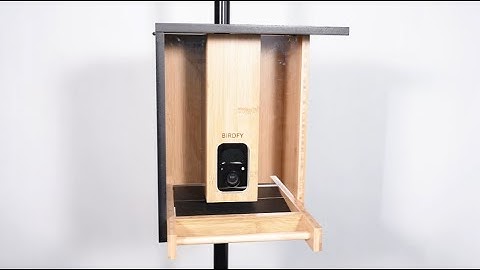 How to Mount Your Birdfy Feeder Bamboo on a Pole - Birdfy Feeder Bamboo Tutorial