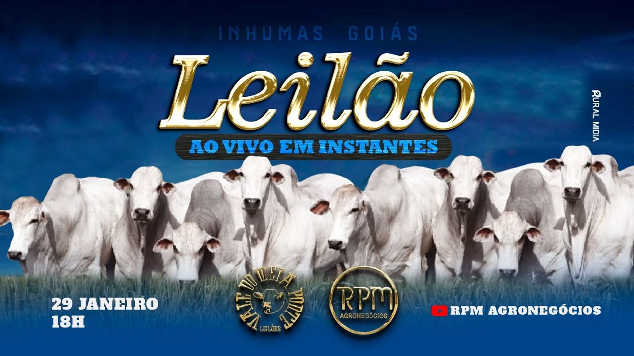 VALE DO MEIA PONTE LEILÕES - INHUMAS - LEILÃO VIRTUAL E PRESENCIAL - 29 DE JANEIRO DE 2026.