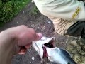 Рыбалка Восточная Сибирь