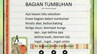 Lagu Bagian-Bagian Tumbuhan