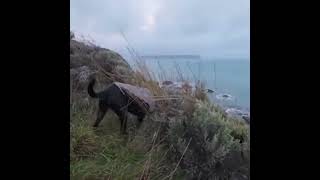 6245524545346 1