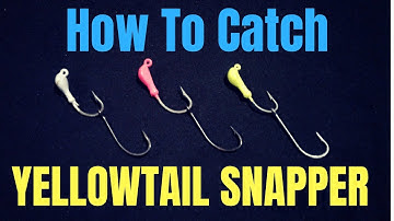 How to catch yellowtail snapper