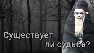 Существует ли судьба? Николай Сербский