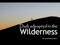 Sunday,  Mar 27th 10am- &quot;Dark Adapted in the Wilderness&quot;