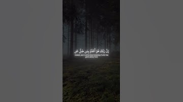 تلاوة هادئة وشجية لسورة القلم للقارئ عبدالرحمن ناجي امام المسجد الصغير #عبدالرحمن_ناجي #المصحف