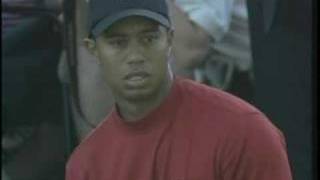 Tiger Woods- Best shot ever played