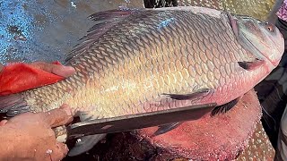 Giant Katla Fish Cutting Skills Live In Fish Market Amazing Cutting Skills In Bangladesh