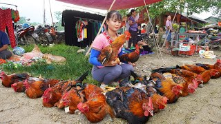 Harvesting Chicken (Rooster) Goes to market sell, Animals care || Phương - Free Bushcraft