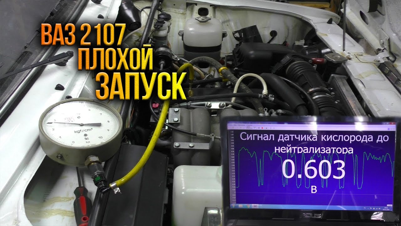 Ищу диагноста авто