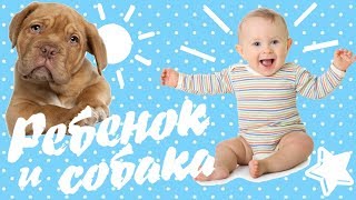 РЕБЁНОК И СОБАКА | ПОЛЬЗА СОБАК ДЛЯ ДЕТЕЙ