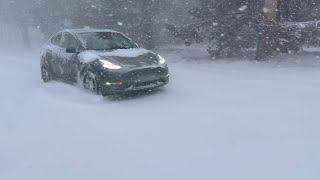 Tesla Model Y Winter Tires &amp; Wheels - Which tires should you get?