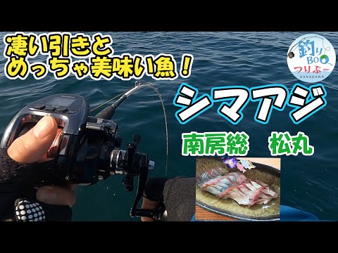 釣りBOO～(つりぶ～） 神奈川釣り日記 釣行メンバー募集中！！！ - YouTube