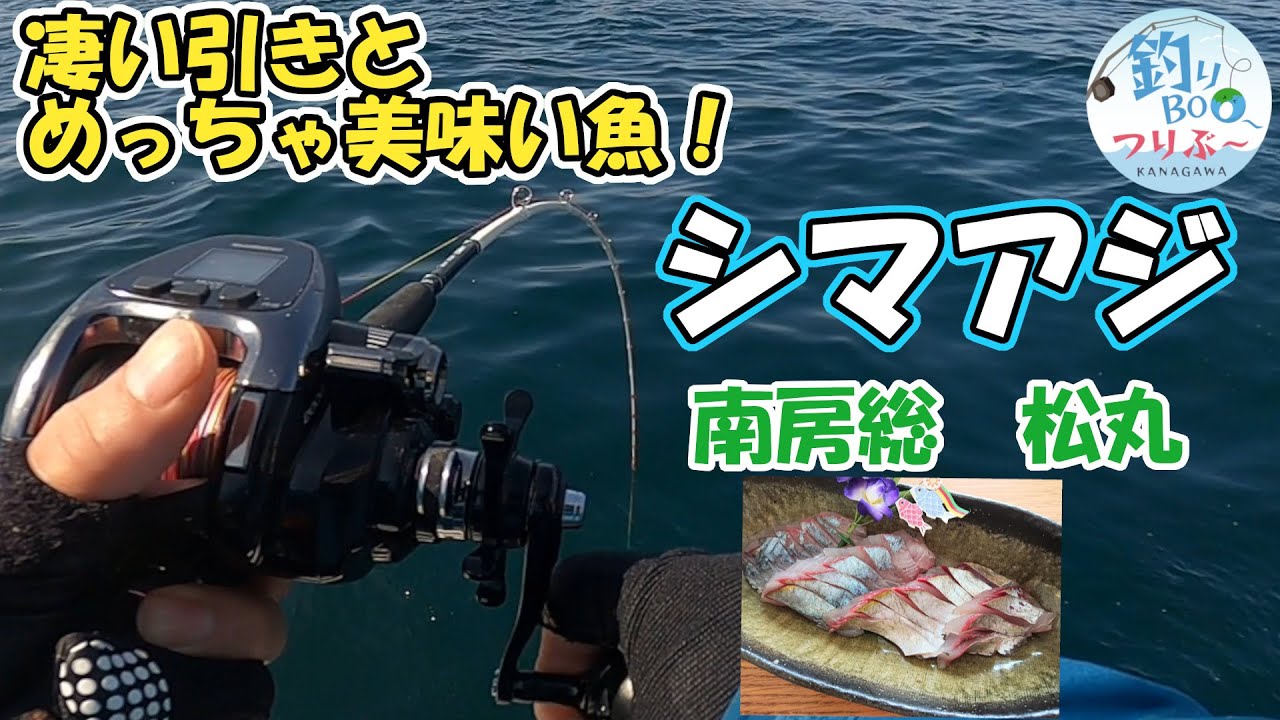 今が旬シマアジ。オオカミを求めて南房総館山相浜港・松丸。2024年5月