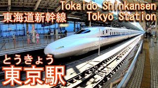 東海道新幹線　東京駅に登ってみた Tōkyō Station. Tokaido Shinkansen