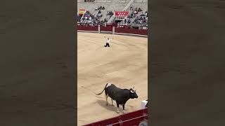 El Peque de Rodillas en Las Ventas (Madrid)
