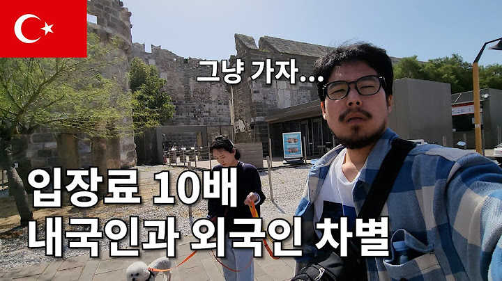 🇹🇷  보드룸과 쿠사다시 무료 캠핑장 (feat.  재산탕진세계여행) 터키 튀르키예 여행 / 캠핑카 여행 / 강아지 해외여행 / 스타렉스 캠핑카 / 유라시아 횡단 [041]