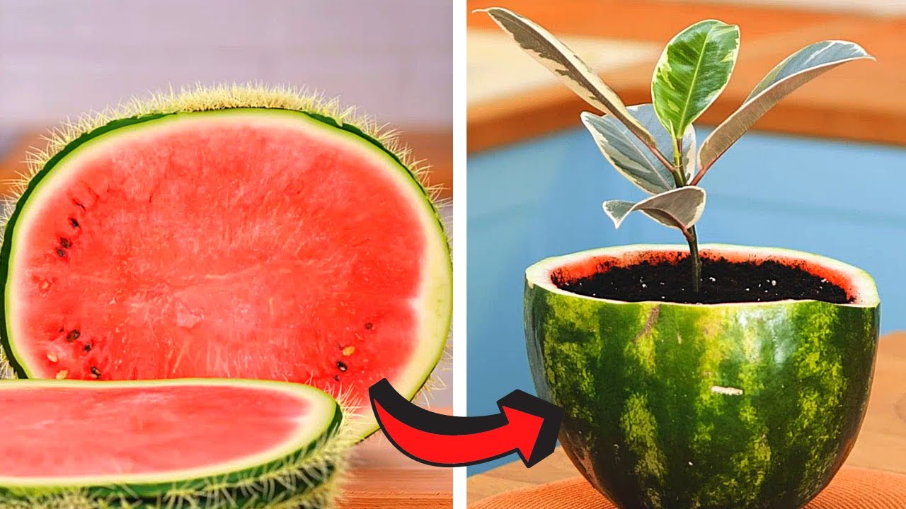 25 SIMPLE HACKS TO GROW YOUR OWN PLANTS AND SEEDS || Cute Crafts For ...