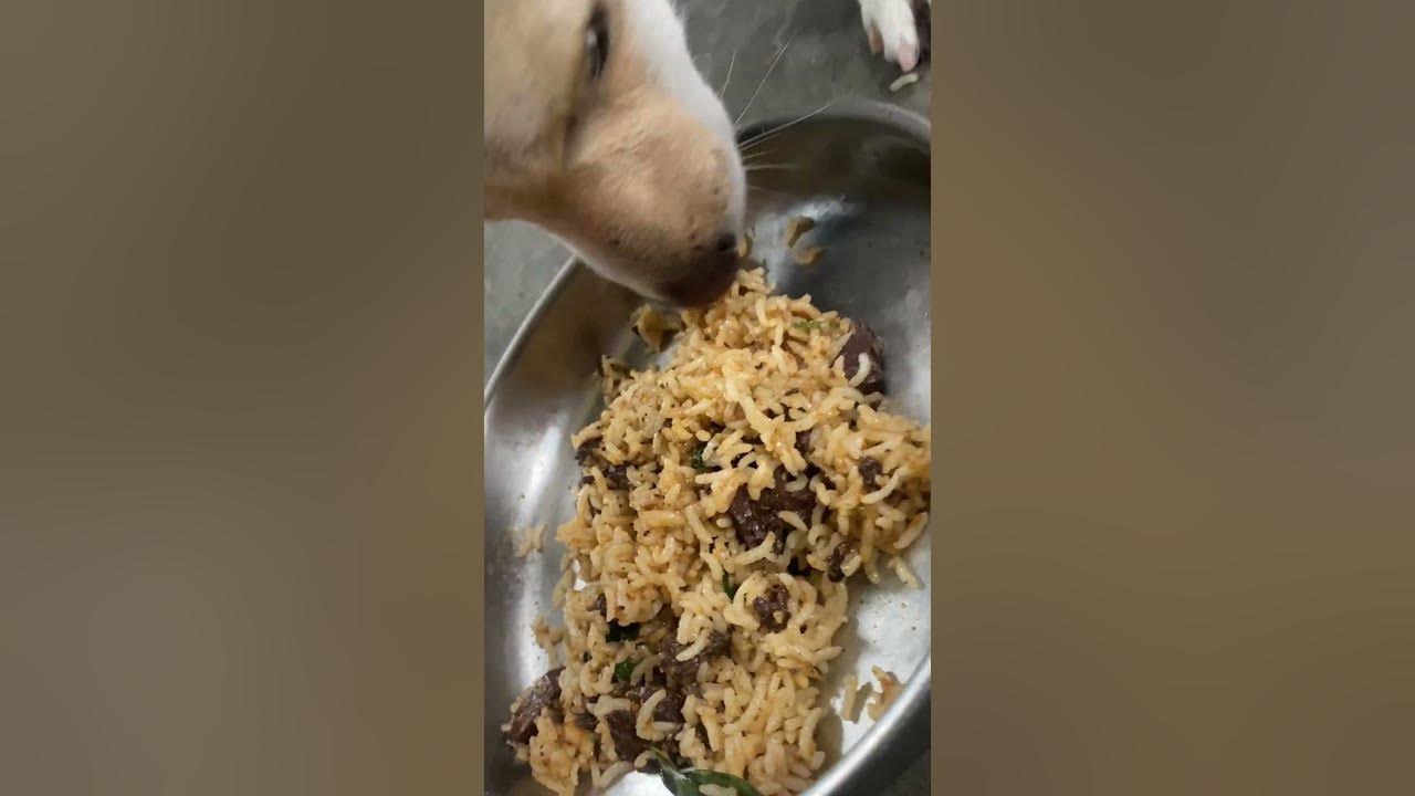 mutton-blood-fry-challenge-shorts-youtube