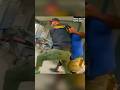 Police Face Off With Neighborhood Bully!