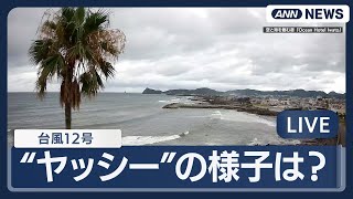 ANNnewsCHの配信のサムネイル画像