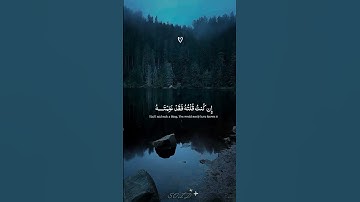 لقد ظلموا نبي الله عيسى ابن مريم و ظلموا انفسهم وظلموا الذين من بعدهم 💔#سورة_المائدة #ياسر_الدوسري 🌳