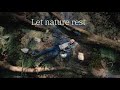 Let nature rest - save ancient woods