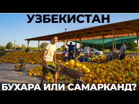Видео: Узбекистан. Таможня 