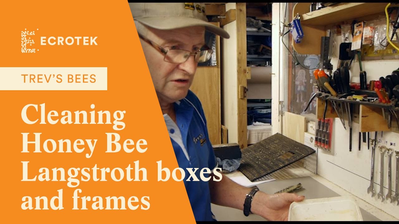 Trevs Bees Cleaning Honey Bee langstroth boxes and frames. Recovery of propolis. YouTube
