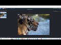 Steghide on Kali Linux: Hide Text in Images 🖼️
