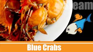 Steam Blue Crab screenshot 1